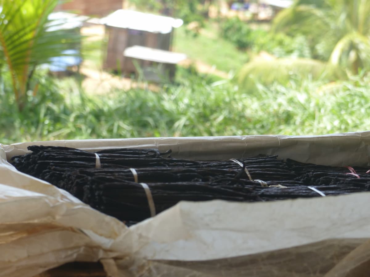 Vanille aus Madagaskar