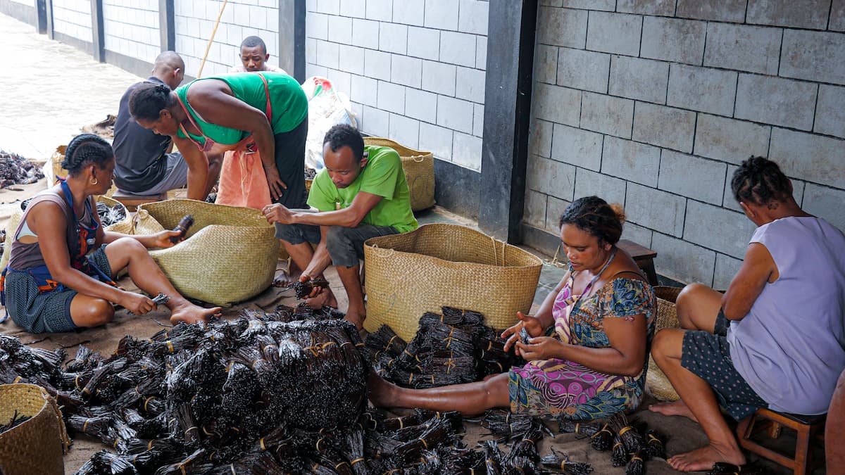 vanille de Madagascar