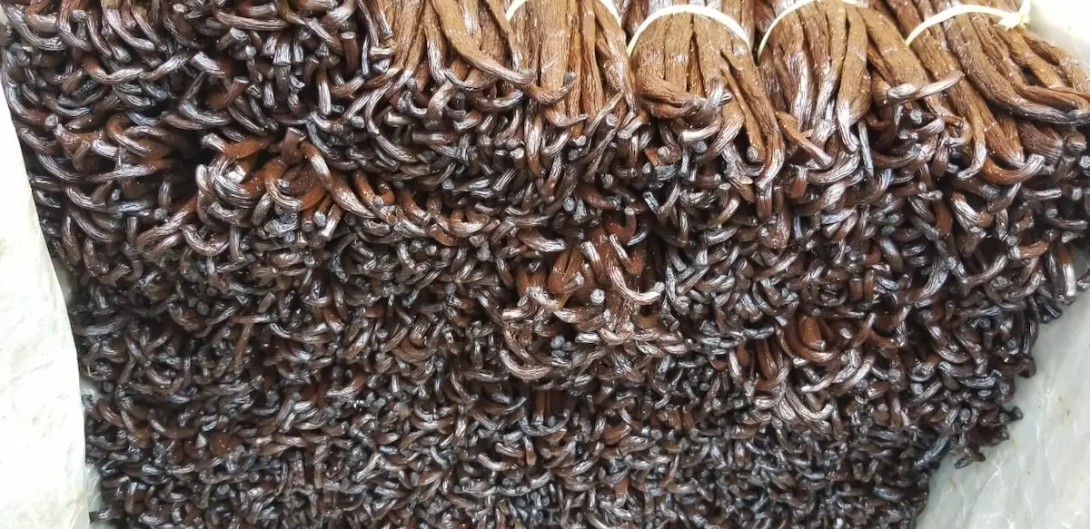 Choisir sa vanille – Seine Vanille auswaehlen: Finden Sie die perfekte Vanille für Ihre Rezepte und Kreationen.