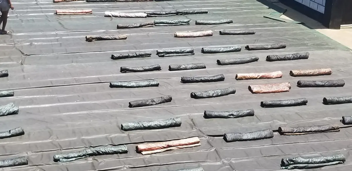 Vanille de Madagascar – Madagascar Vanilla pods