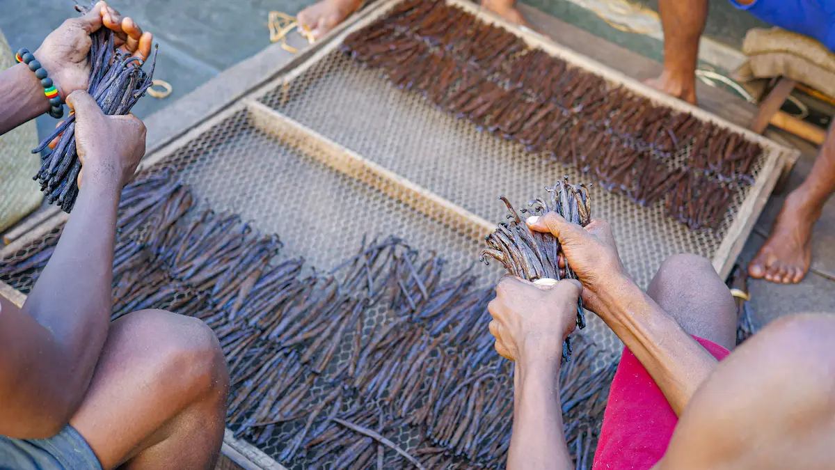 Fournisseur de vanille à Madagascar