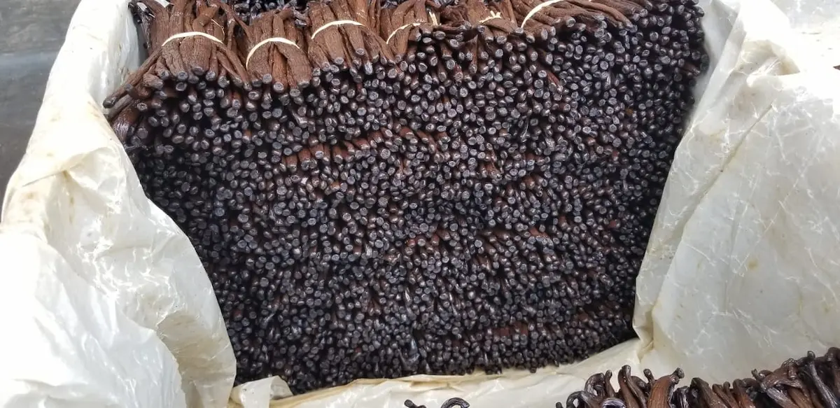 Vanille artisanale de Madagascar — Madagascar artisanal vanilla beans