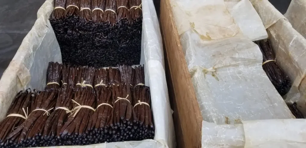 Vanille Bourbon de Madagascar — Madagascar Bourbon vanilla beans