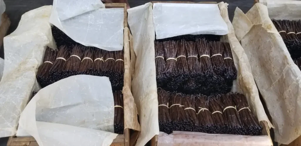 Exceptional vanilla beans from Madagascar — premium quality