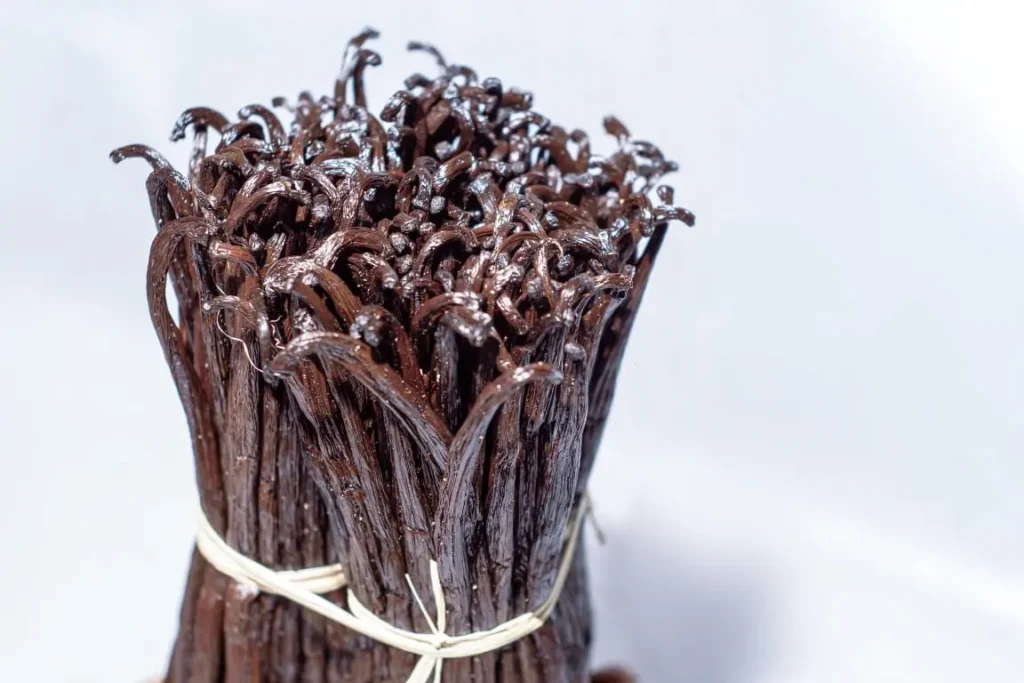 High-end Bourbon vanilla beans / Gousses de vanille Bourbon haut de gamme from Madagascar